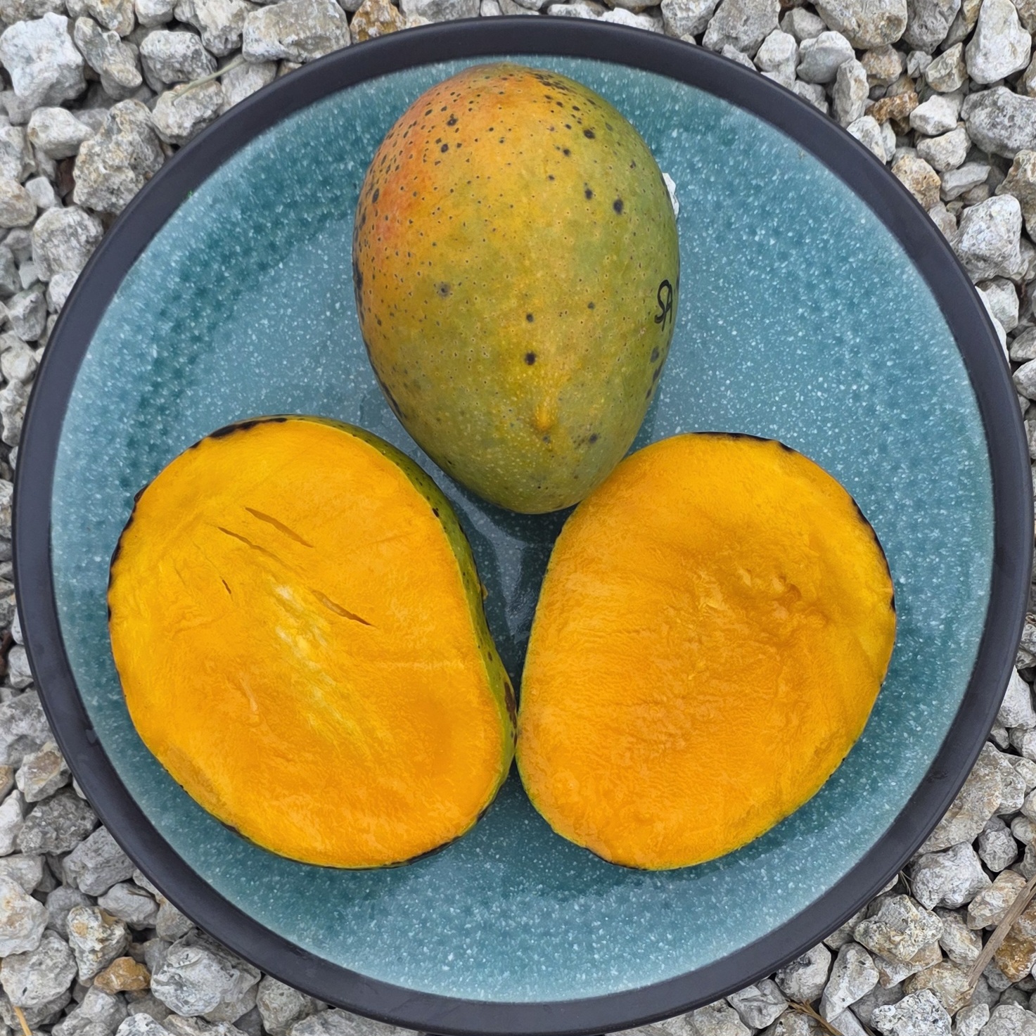 Fruit Variety Picture